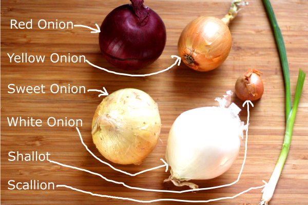 Https blacksprut onion