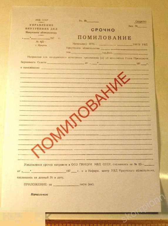 Купить отчетные документы за прошлый период в Иркутске